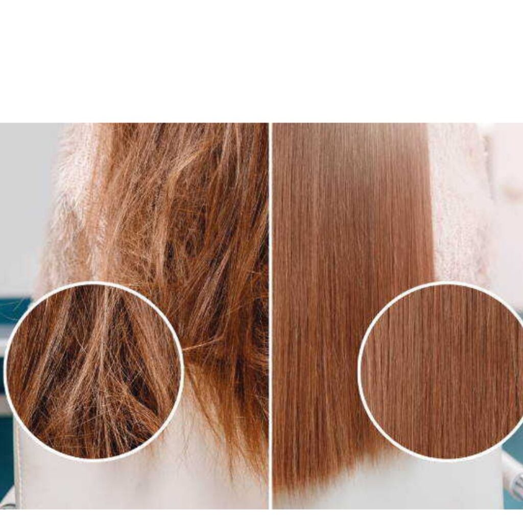 Untitled design 43 1