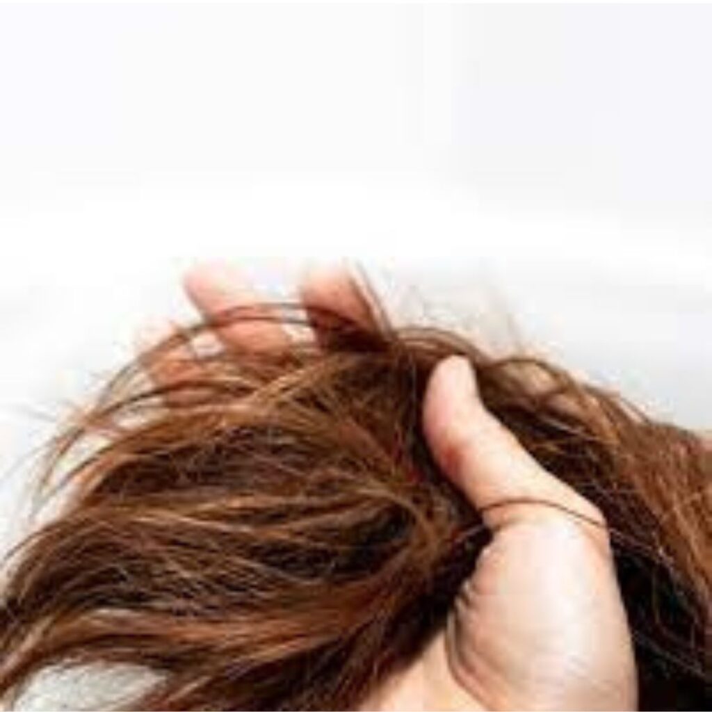 Untitled design 44 4